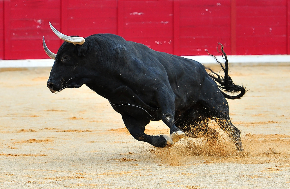 Estos son los países en donde ya se prohíben las corridas de toros