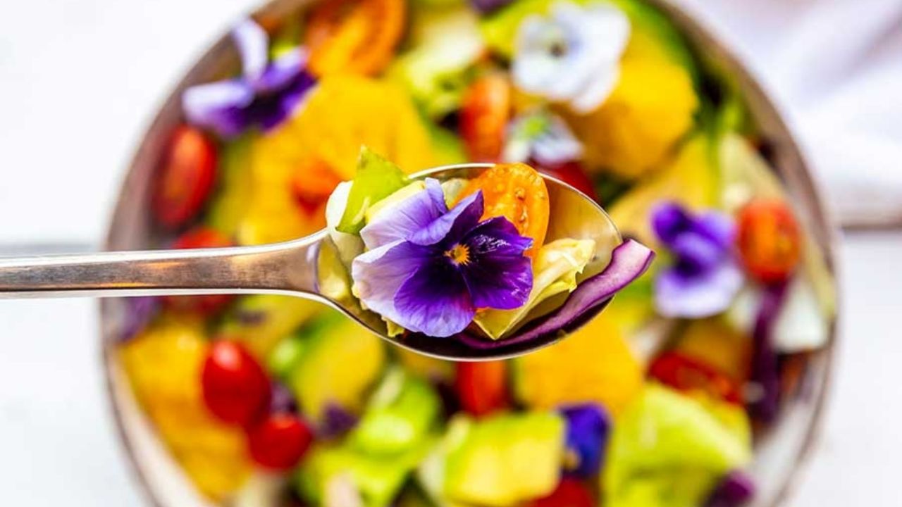 Flores comestibles: la tendencia gourmet de tu jardín al plato