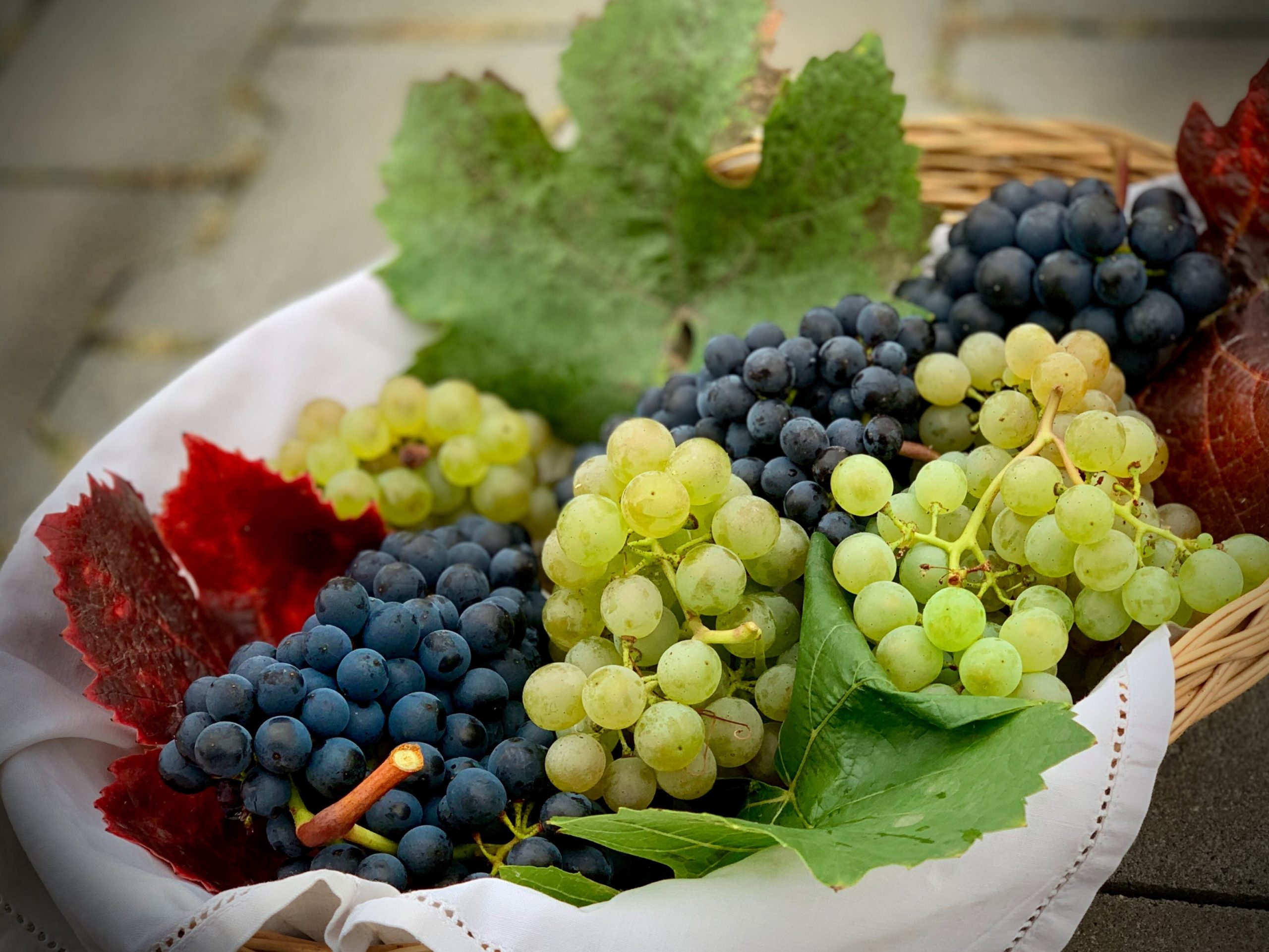 Las uvas un protector solar natural. ¡Conoce todos sus beneficios!